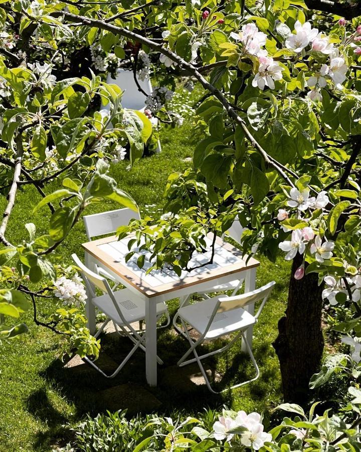 Przechowalnia Marzen- Adults Only Mikołajki Exteriér fotografie